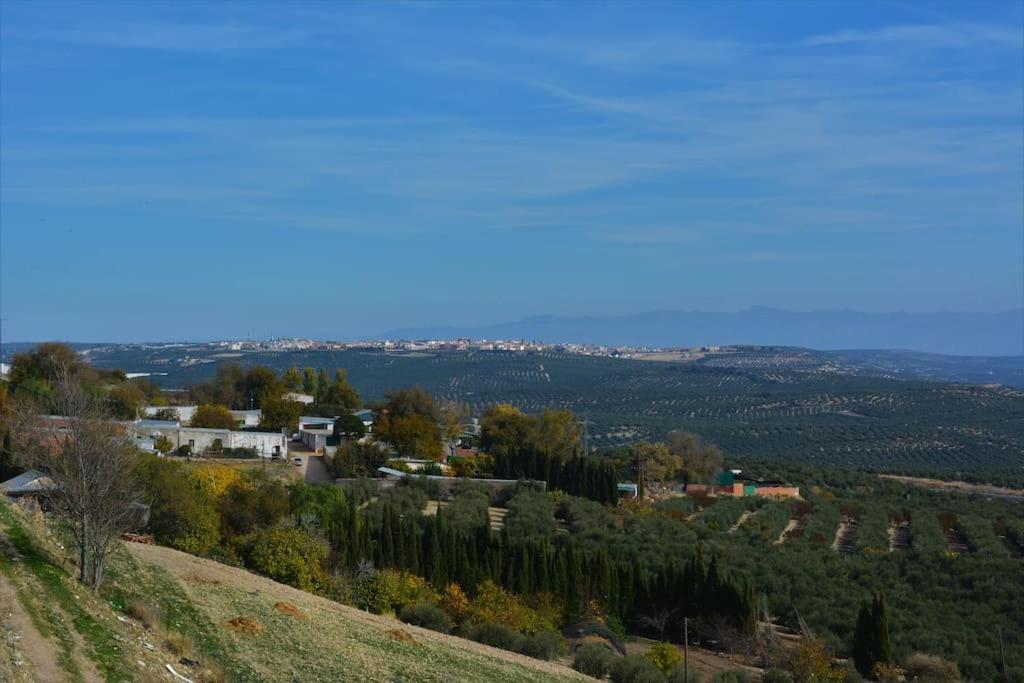Mirador Del Guadalquivir Apartment Baeza Bagian luar foto